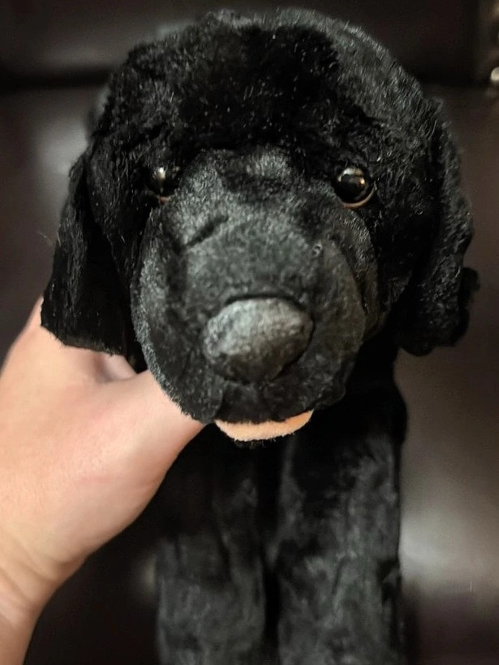 Douglas Black Labradoodle Plush Black Plush Like New